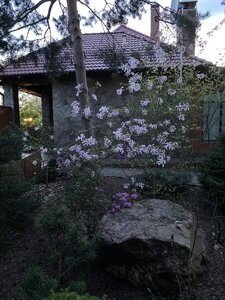 IMG_8840.jpeg