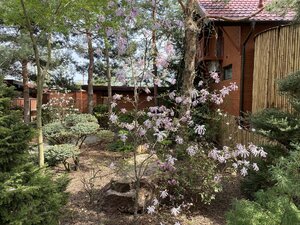IMG_8832.jpeg