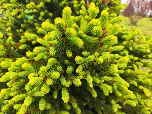 IMG_20240511_120429.jpg
