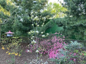 IMG_9300.jpeg