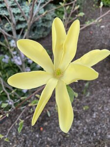 IMG_9336.jpeg
