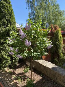 IMG_9284.jpeg