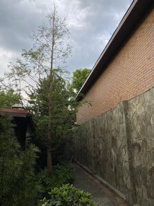 IMG_9627.jpeg