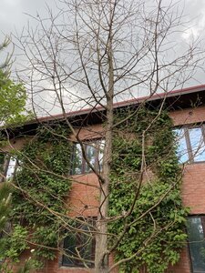 IMG_9628.jpeg