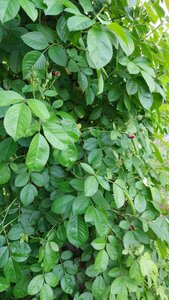 20240605_115007.jpg