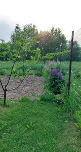20240602_190730.jpg