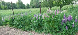20240602_190633.jpg