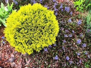 IMG_20240526_195417.jpg