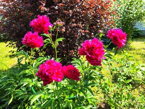 IMG_20240615_223017.jpg
