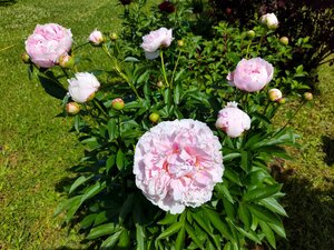 IMG_20240615_223109.jpg