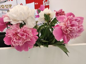 IMG_20240613_114606.jpg