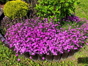 IMG_20240615_222947.jpg