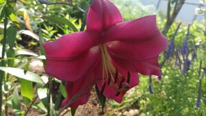 f2e822de-79a8-440f-a3ad-7f1ad39bea21.jpg