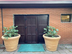 IMG_9890.jpeg