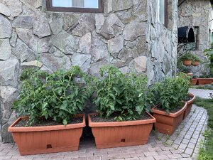 IMG_9904.jpeg