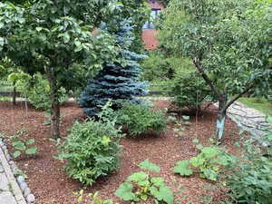 IMG_9798.jpeg