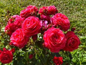 IMG_20240706_171046.jpg