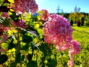 IMG_20240706_175111.jpg