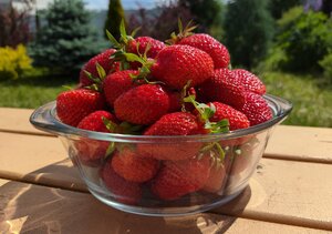 IMG_20240616_112135.jpg