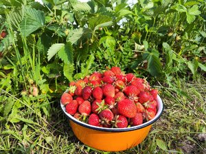 IMG_20240619_163633.jpg