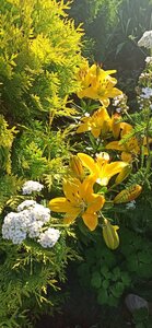 4d0c806b-712b-4ed4-87ef-31c8e37645a5.jpg