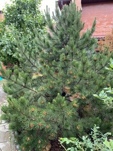IMG_9833.jpeg