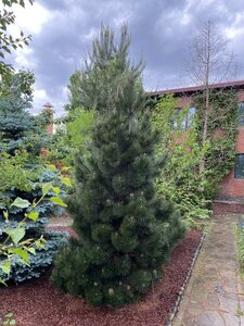 IMG_9642.jpeg