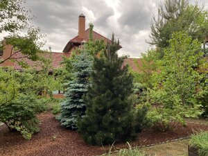 IMG_9640.jpeg