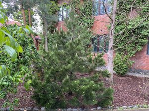 IMG_9639.jpeg