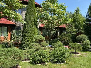 IMG_0014.jpeg