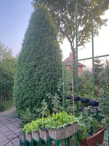 IMG_7205.jpeg