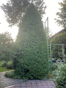 IMG_7204.jpeg