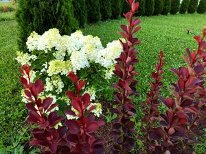IMG_20240721_002301.jpg