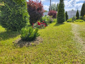 IMG_20240625_134414.jpg