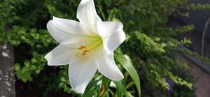 04e89f5f-1c81-4aff-b4bd-fbec608040f6.jpg