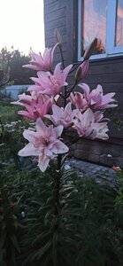 91c8dd22-db74-447f-b188-3534301ec532.jpg