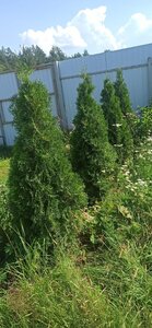 3d060d04-c99e-4da7-8bb6-84cdf7cbe265.jpg