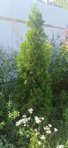 a511f1df-1b25-41ca-83d4-f54aaa36e399.jpg