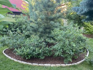 IMG_0170.jpeg