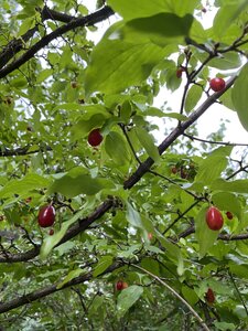 IMG_0242.jpeg