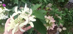 a17e34a0-89ec-4a54-8fcd-e9af260563f5.jpg