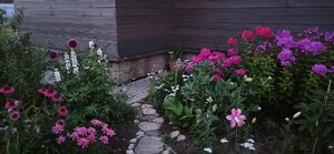 1a9afcbe-4c62-49aa-809a-9b49b374d063.jpg