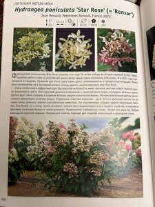 IMG_2864.jpeg