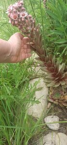 eed8a662-aa67-4831-ab58-da7daf018d4f.jpg