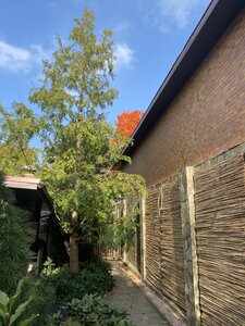 IMG_0975.jpeg