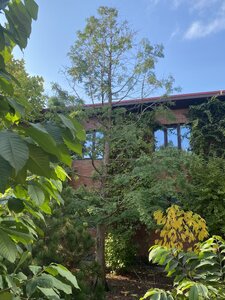 IMG_0978.jpeg