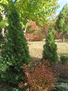 IMG20241023141159.jpg
