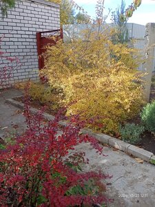 IMG20241023121133.jpg