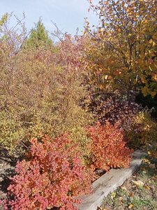 IMG20241023120322.jpg