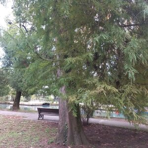 20241024_094558.jpg